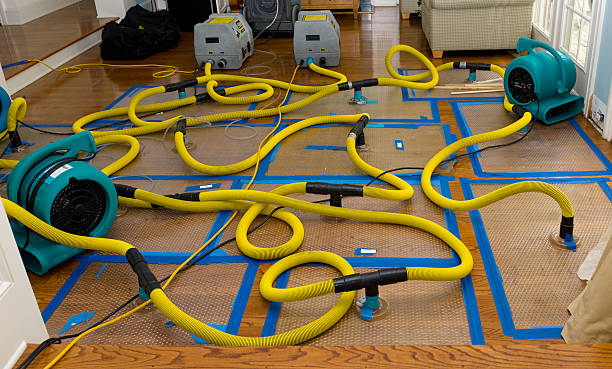 Professional Crawl Space Water Removal technician working in Mount Desert, ME